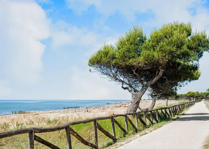 Bright Flat 100mt From The Sea Daire